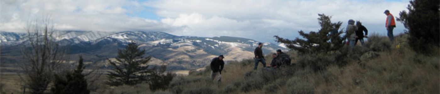 Aerie Backcountry Medicine