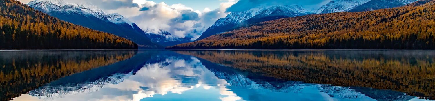 Aerie Backcountry Medicine