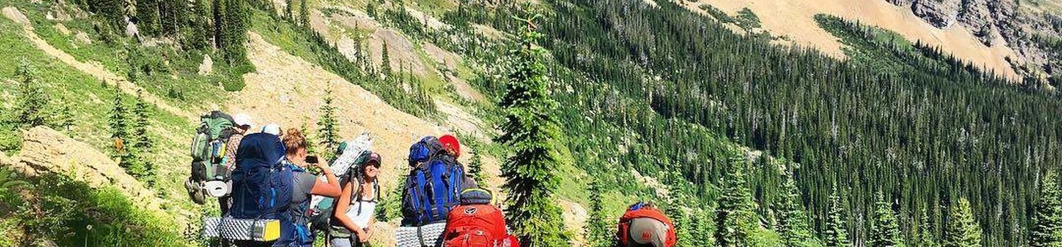 Aerie Backcountry Medicine